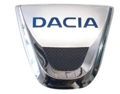 DACİA DUSTER,SANDERO,LOGAN Y.M. PANJUR ARMA (BÜYÜK) - 8200811907 - Yedek Parça