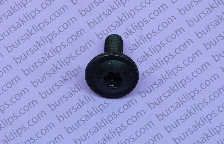 TORX CİVATA KENDİNDEN PULLU (M6x18x18mm) - Yedek Parça